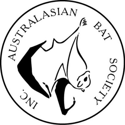 400x400 Australasianbatsoc On Twitter Unlike Black And Grey Headed