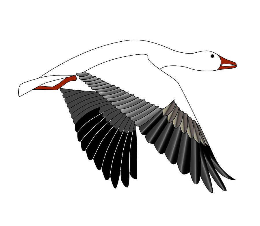 Flying Goose Drawing
