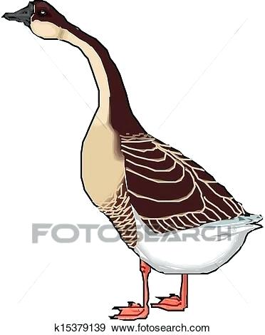 372x470 goose drawings buy art canada goose drawing images
