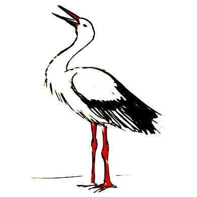 391x391 How To Draw A Goose