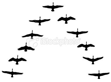 380x281 Vector Illustration Of Canada Geese Silhouettes In Vee Formation