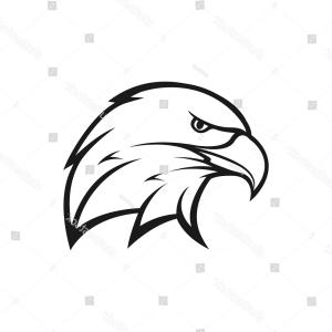 300x300 Eagle Bird Logo Design Flying Hawk Vector Sohadacouri