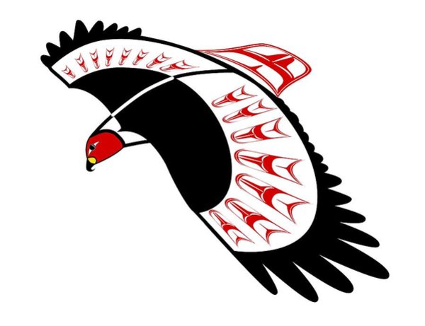 600x461 Flying Hawk Drawings Fine Art America