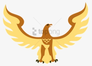 320x229 hawk flying png download transparent hawk flying png images