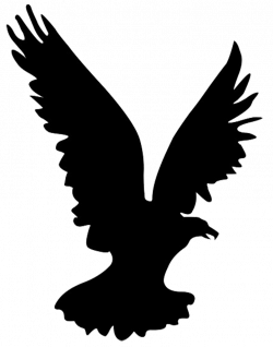 250x318 Hawk Flying Silhouette Png, Picture