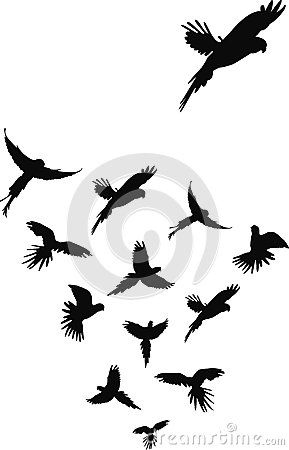 289x450 Eclectuses Tattoo Inspiration Parrot