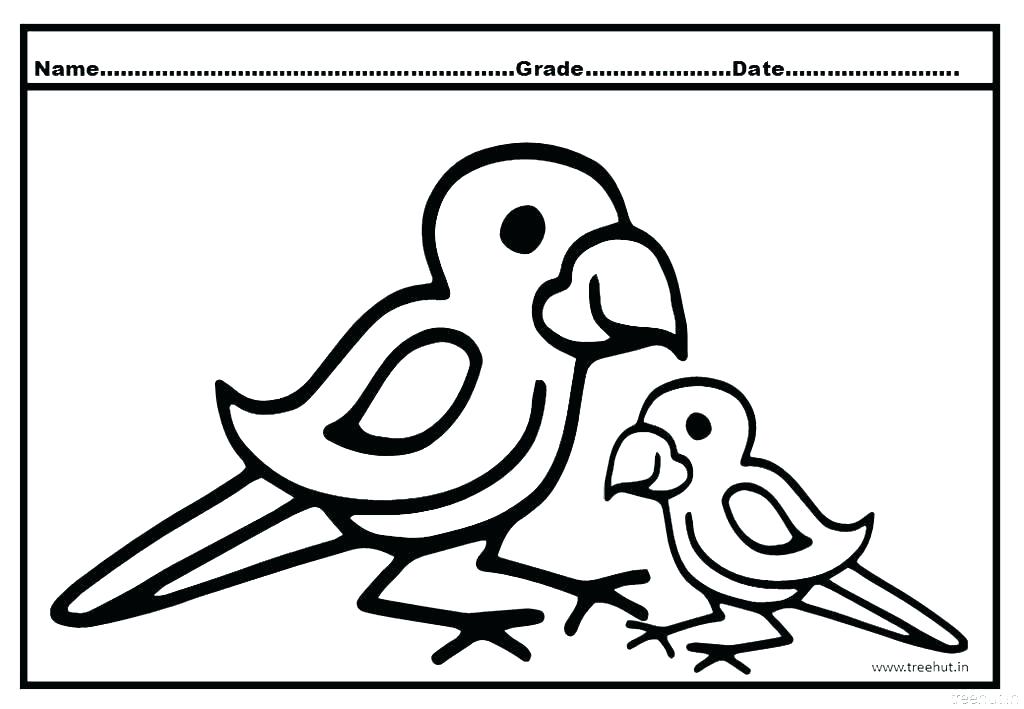 1024x709 Pirate Parrot Coloring Pages Pirate Parrot Coloring Pages Flying