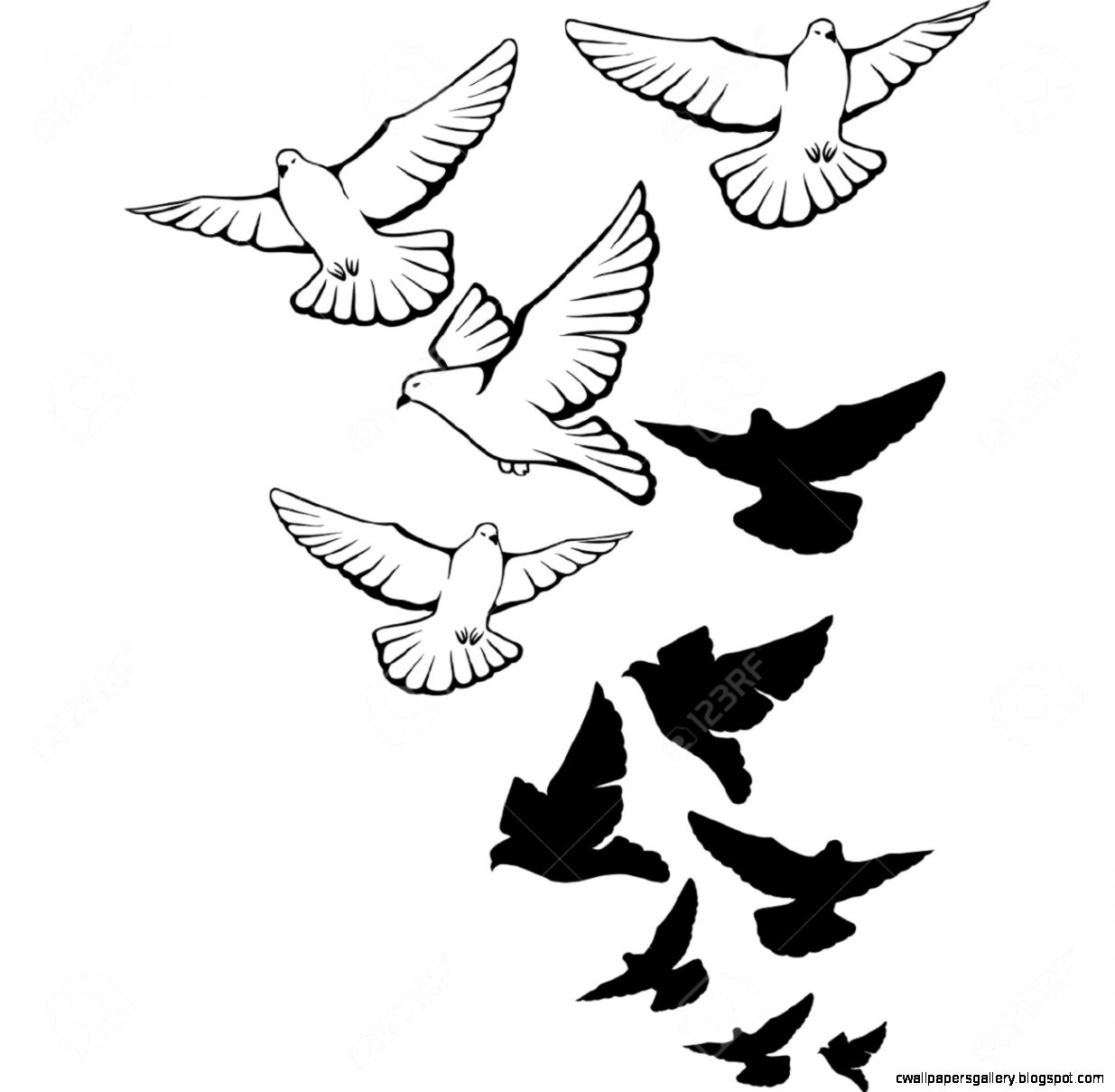 1235x1209 Drawings Of Birds Flying In The Sky