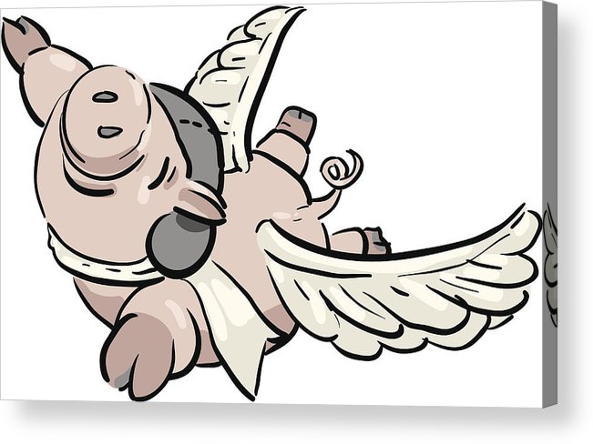 651x488 Flying Pig Acrylic Print