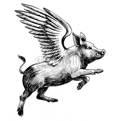 395x400 Flying Pig Black And White Ink Illustration Buy Photos Ap
