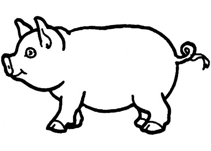 700x500 Awesome Flying Pig Coloring Sheet