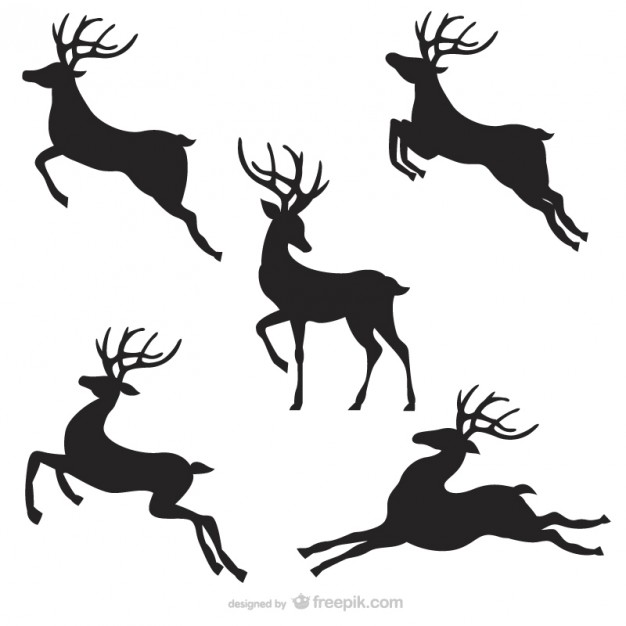 626x626 Reindeer Vectors, Photos And Free Download