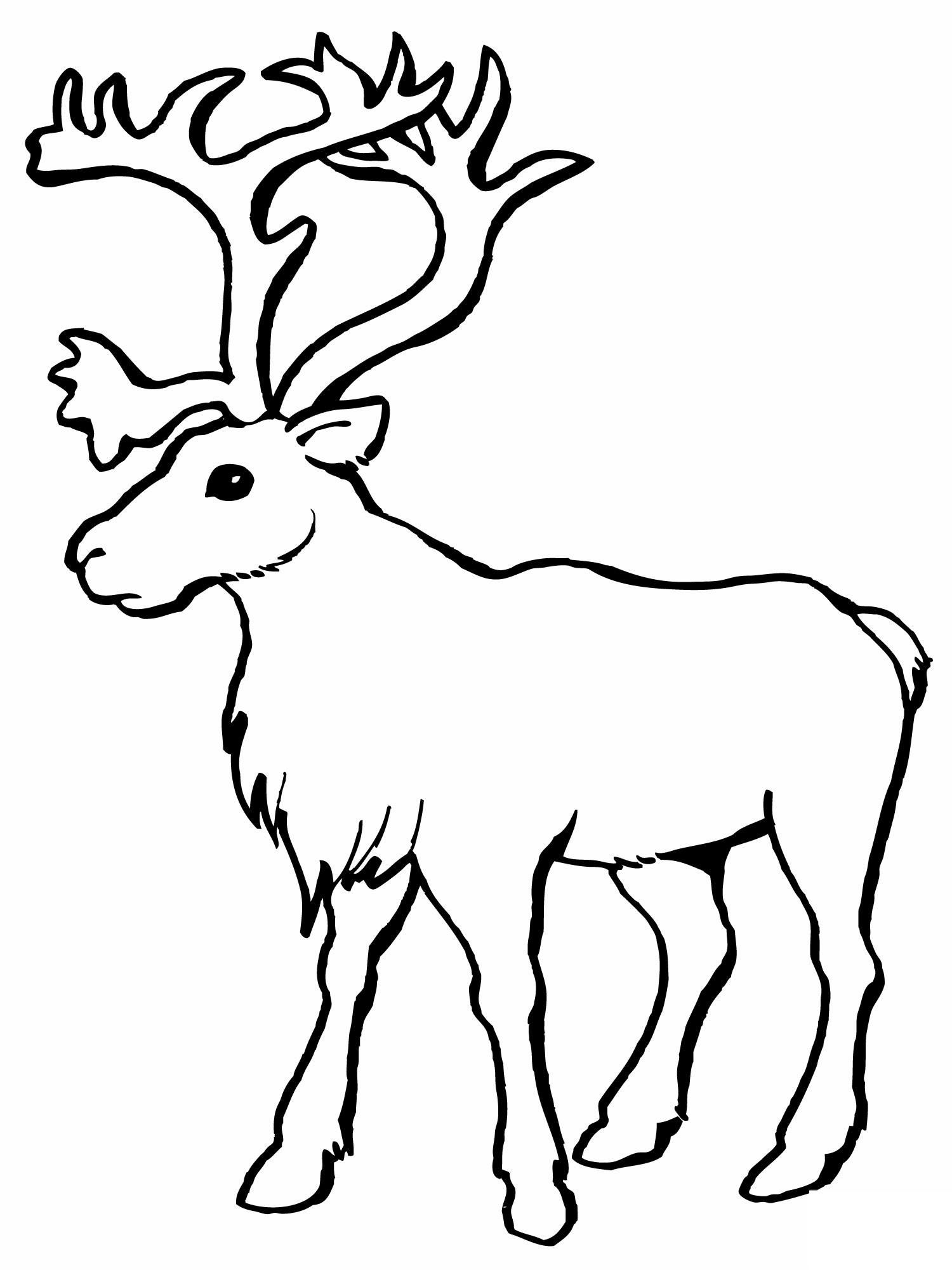1500x2000 Santa Reindeer Coloring Pages Printable With Flying Free For Kids