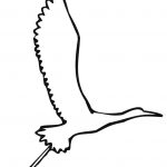 150x150 ring billed gull coloring pages seagull wordsare me rare