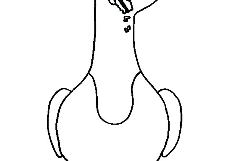 794x544 Seagull Coloring