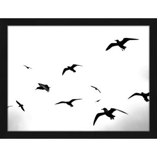 310x310 Seagull Wall Art You'll Love
