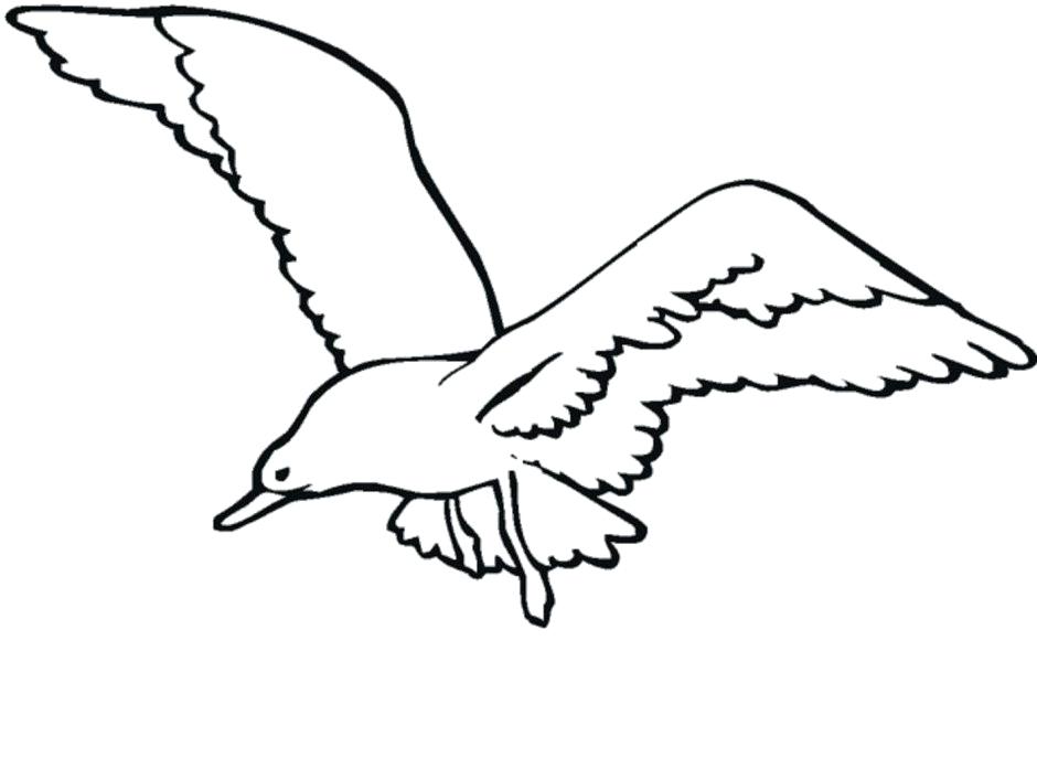 Flying Seagull Drawing | Free download on ClipArtMag