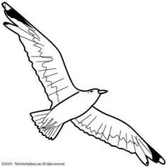 236x236 Best Of Flying Seagull Coloring