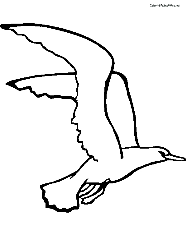 Flying Seagull Drawing | Free download on ClipArtMag