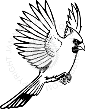 282x361 Bluejay Drawing In Flight Transparent Png Clipart Free Download