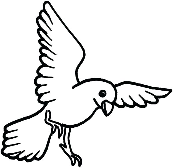 600x584 Flying Bird Coloring Pages Robin Plus Drawing Printable Colouring
