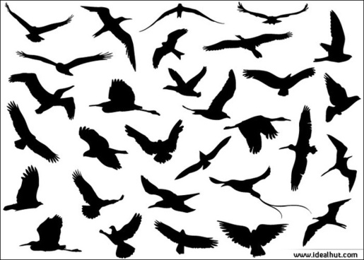 515x368 Flying Birds Outline Drawings Free Vector Download