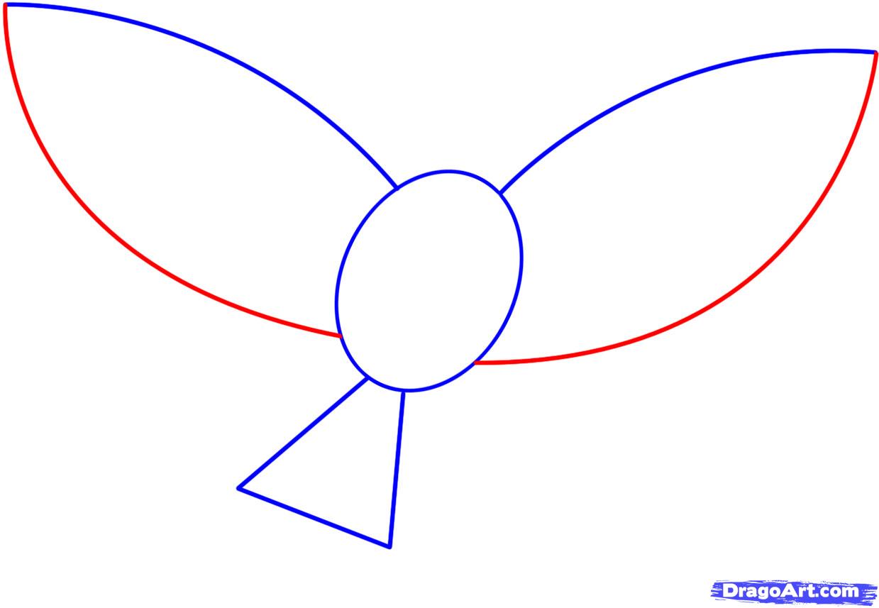 1239x857 How To Draw A Flying Bird, How To Draw A Bird, Step