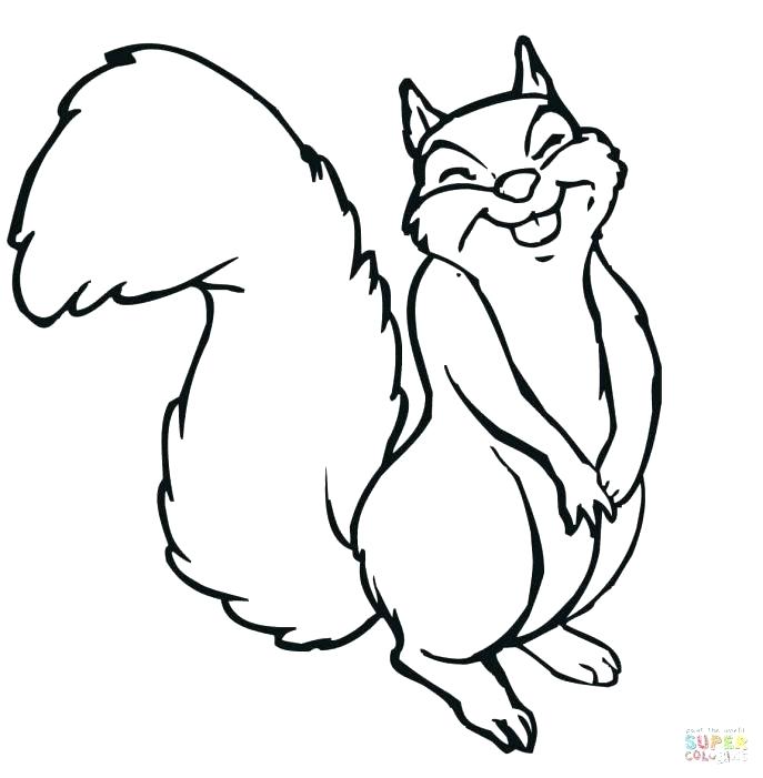 687x701 Flying Squirrel Coloring Page