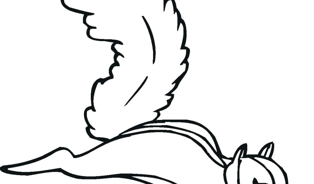 1024x600 Flying Squirrel Coloring