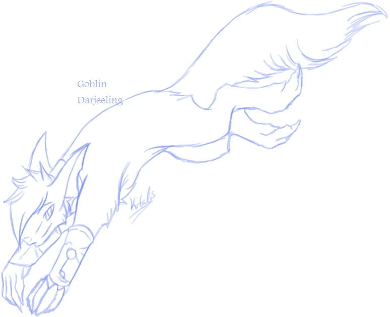 774x629 Flying Squirrel