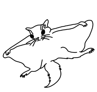 334x319 Image Result For Flying Squirrel Line Art Tag Flying Squirrel