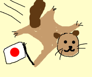 300x250 Japanese Dwarf Flying Squirrel