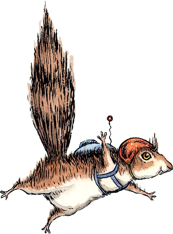 592x800 Skydiver Squirrel Sticker In Cute Stickers Squirrel