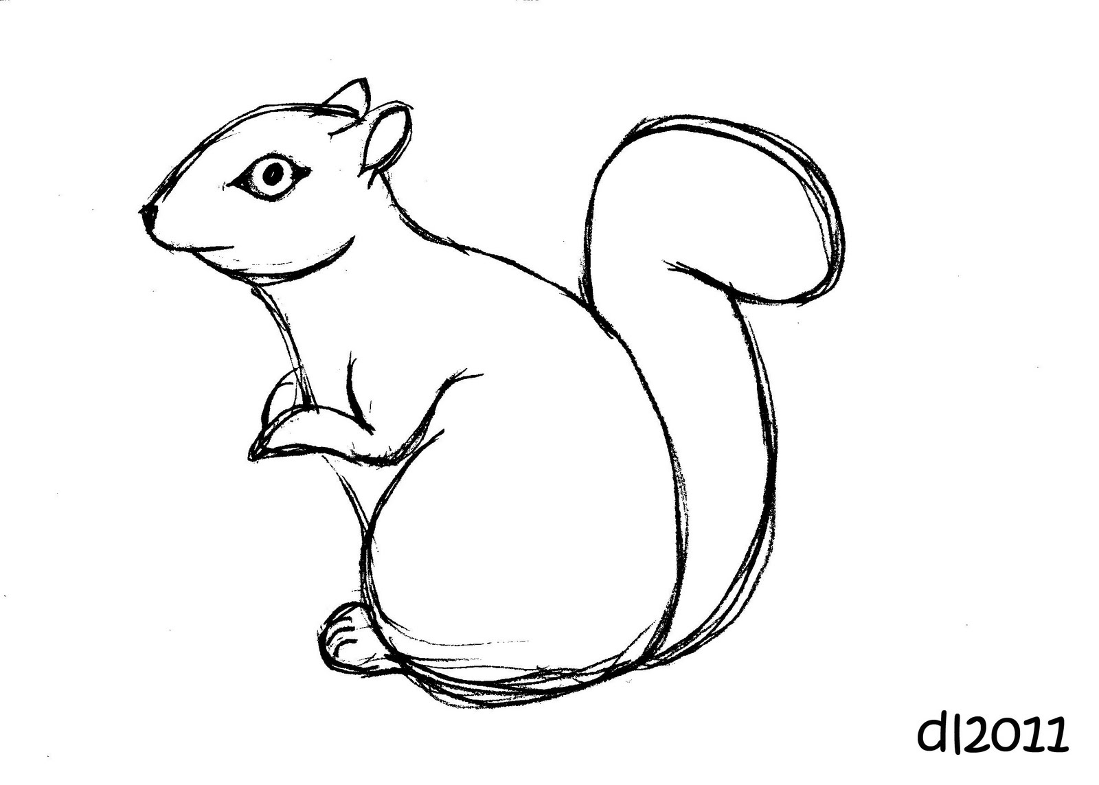 1600x1143 Squirrel Drawing Fine Art Print Ink Inspiration