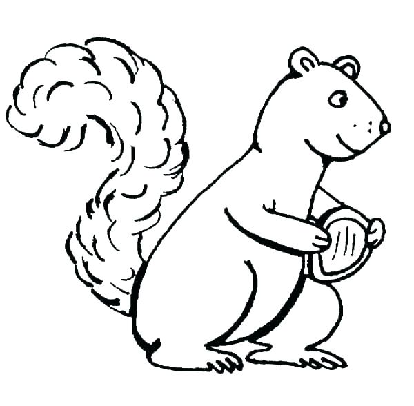 600x588 Squirrel Coloring Pages