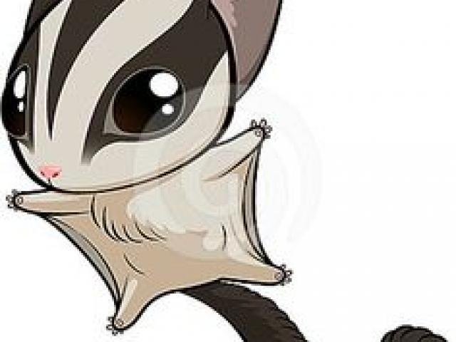 640x480 Flying Squirrel Clipart