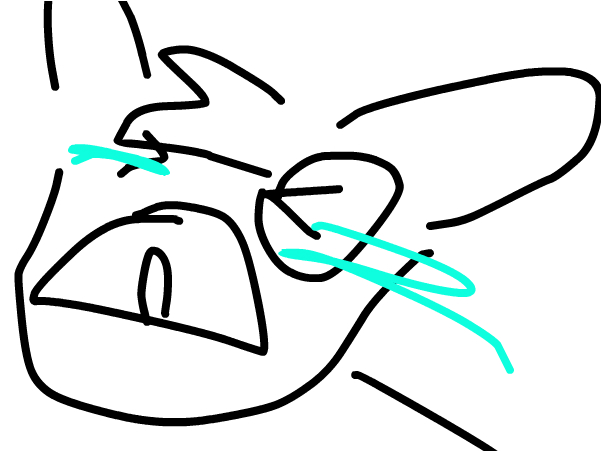 602x452 nooo fnaf is awful eevee