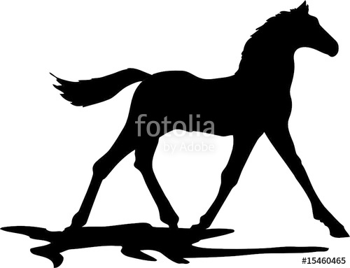 500x383 Beautiful Foal Drawing, Black And White Stock Image And Royalty