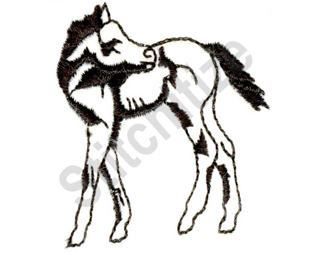 625x500 colt machine embroidery design foal baby horse etsy