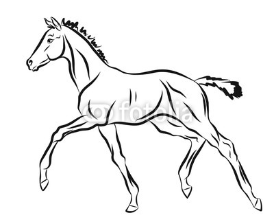 400x326 Cute Foal On White Background, Vector Illustration Buy Photos