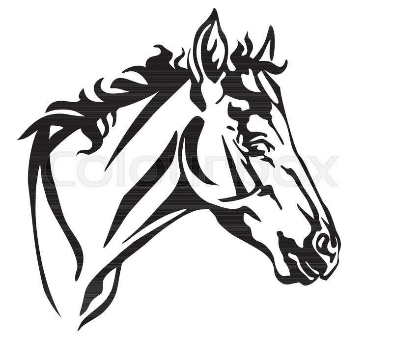 800x686 Decorative Portrait In Profile Of Stock Vector Colourbox