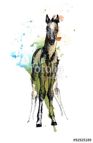 325x500 Foal Standing Frontal, Black And Gold Drawing On A Yellow Orange