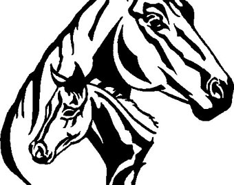 340x270 Horse Foal Wall Art Etsy