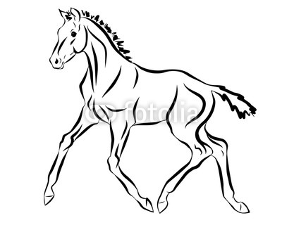 400x320 a sketch of a trotting foal buy photos ap images detailview