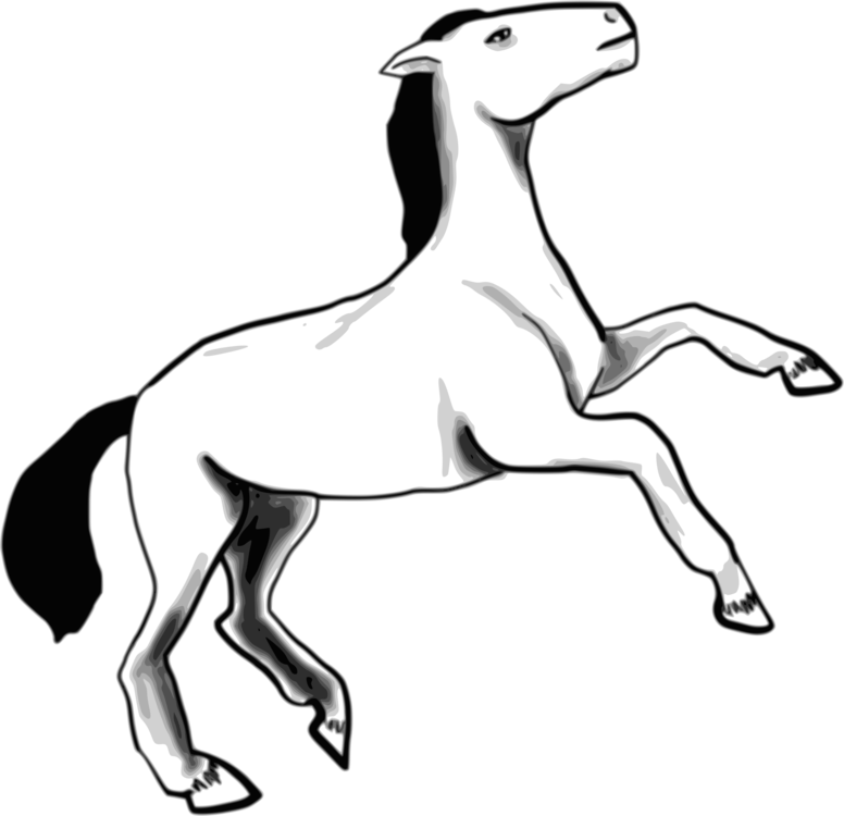 776x750 arabian horse dog pony foal computer icons cc0