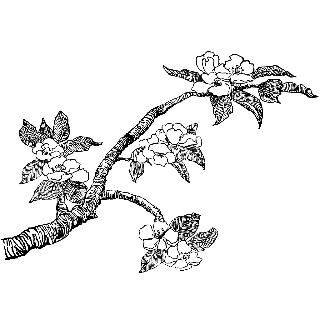 1024x1024 Cherry Blossoms In Tat Inspiration Art