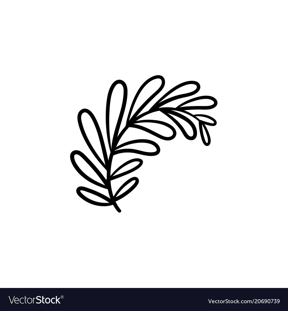 1000x1080 Drawn Foliage Sketch