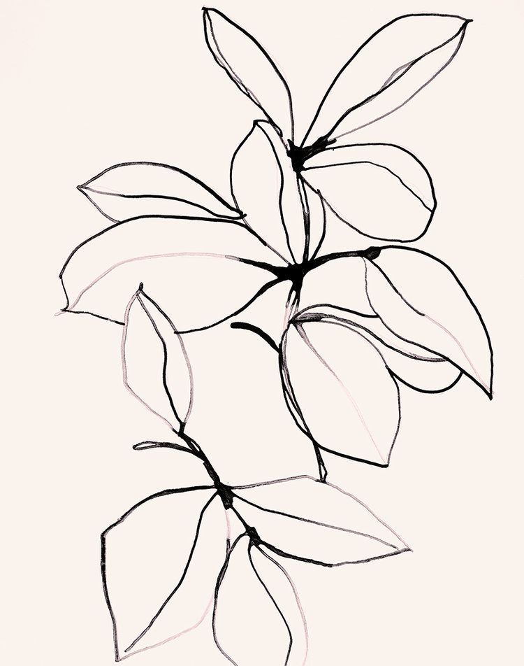 Foliage Drawing | Free download on ClipArtMag