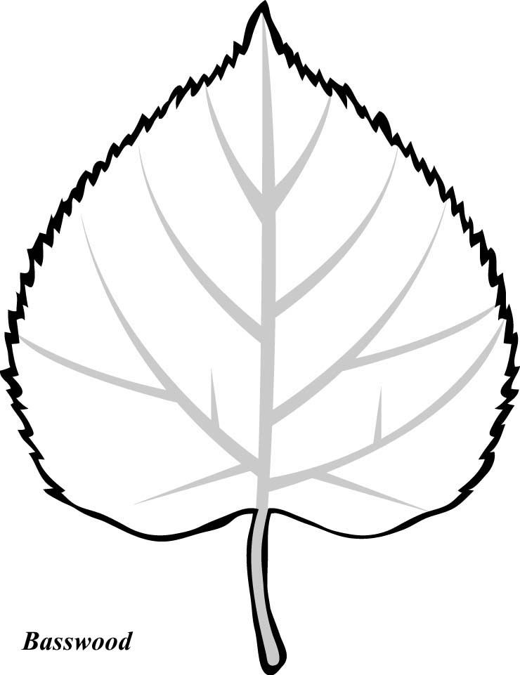 740x961 Leaves To Color