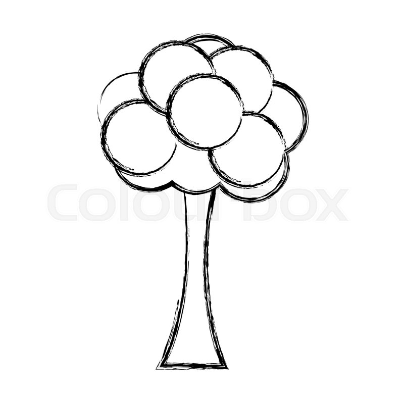 800x800 Tree Bush Cartoon Foliage Ecology Stock Vector Colourbox